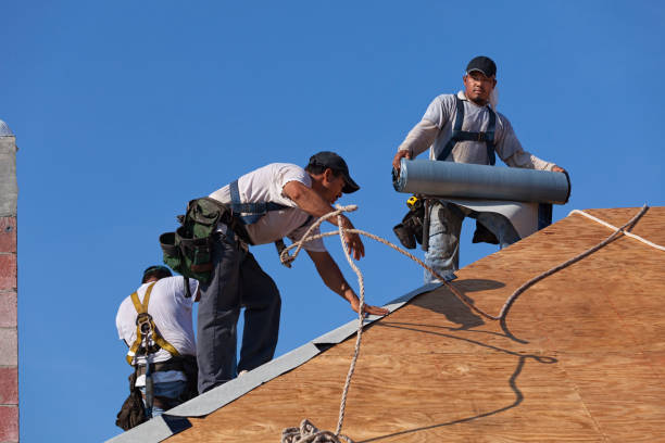Best Commercial Roof Installation  in Bull Valley, IL