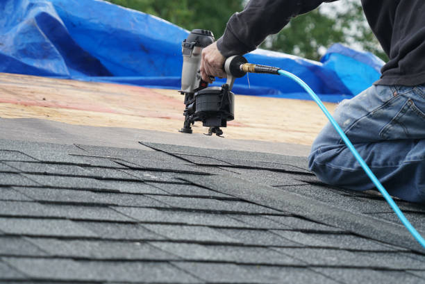 Best Shingle Roofing Installation  in Bull Valley, IL