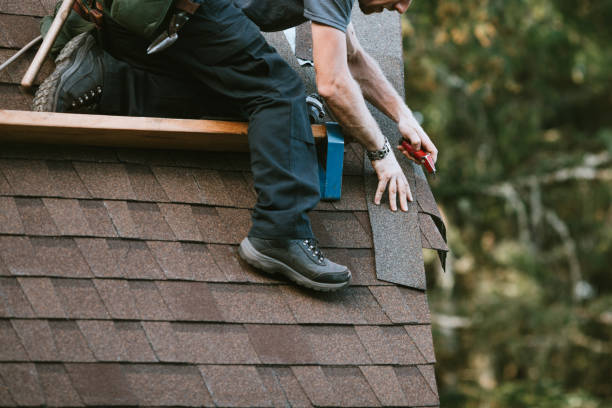 Best Roof Gutter Cleaning  in Bull Valley, IL